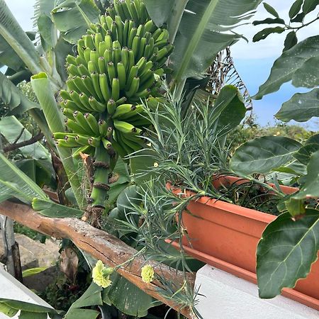 Casa Rural Los Barros Genovés المظهر الخارجي الصورة